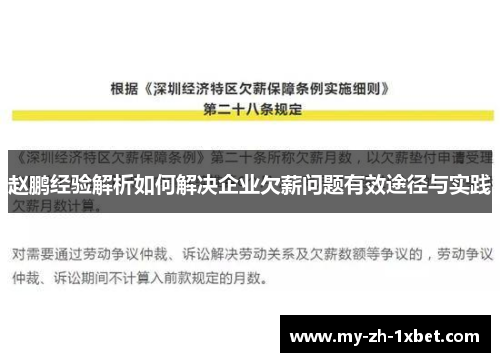 赵鹏经验解析如何解决企业欠薪问题有效途径与实践 赵鹏经验解析如何解决企业欠薪问题有效途径与实践