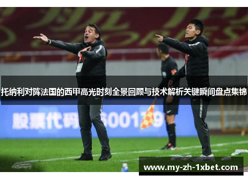 托纳利对阵法国的西甲高光时刻全景回顾与技术解析关键瞬间盘点集锦